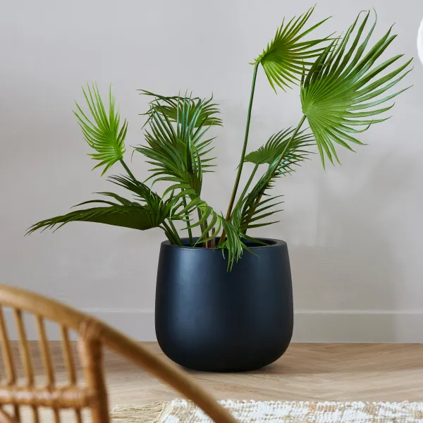 Areca Palmeira Verde>CASA Flash Sale