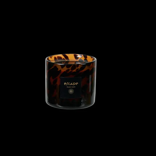 Escape Black Oudh Vela Perfumada Em Copo Preto, Castanho,>CASA Cheap