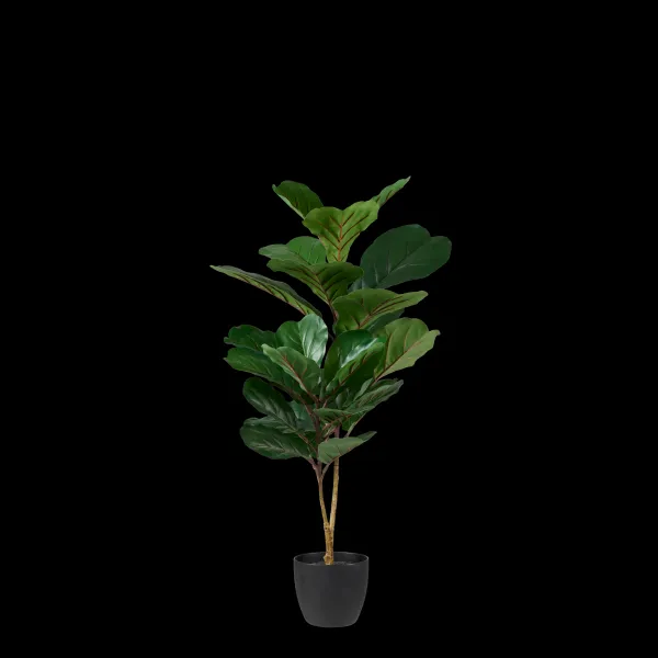 Figi Planta Artificial Preto, Verde Escuro>CASA Discount