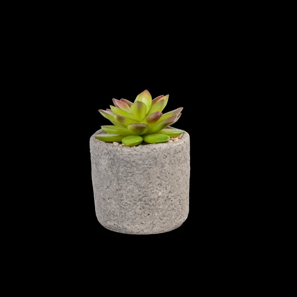 Granit Cr Ssula Em Pote Verde>CASA Best Sale