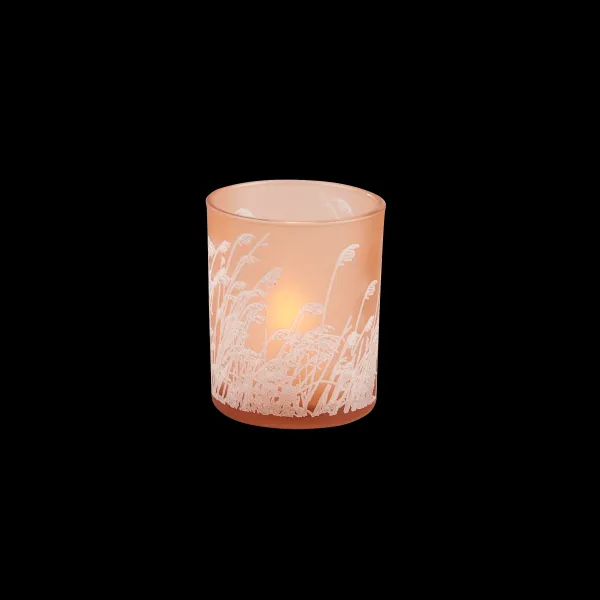 Pampas Partylight Cor-De-Laranja>CASA Flash Sale