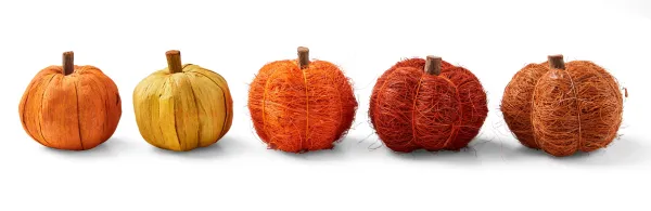 Pumpkin Decora O Cor-De-Laranja>CASA Cheap