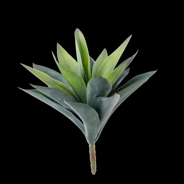 Vera Vetplant Op Stick Verde>CASA Flash Sale